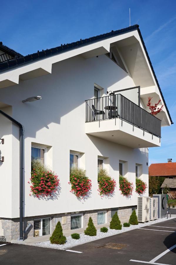 Hisa Ancka, Sencur - 3 Min To The Airport Exterior foto